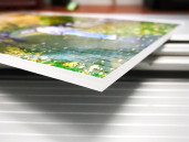 Фото на пенокартоне