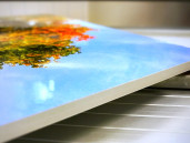 Фото на пенокартоне