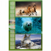 Фотокалендарь 60х40 Premium UltrachromeHD